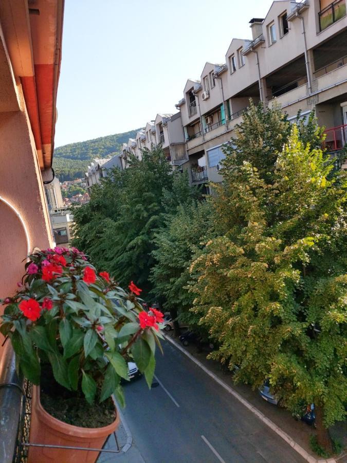 Ino 99 Lejlighed Užice Eksteriør billede